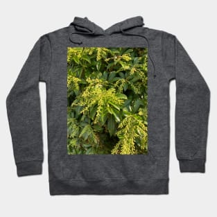 Foliage Hoodie